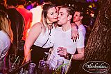 Party 24.12